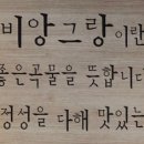 비앙그랑 - 3253 | 비앙그랑
