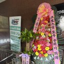 강동구청 크로스핏 맛집/ 강철부대W 이수연 코치의 [크로스핏로우 강동]