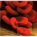 구라산성 이미지