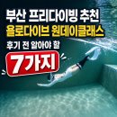 프리다이브올블루 | 부산 프리다이빙 추천, 욜로다이브 원데이클래스 후기 전 알아야 할 7가지