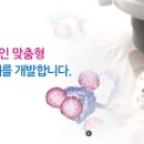 에스엠티 이미지