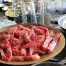 동호목장 이미지