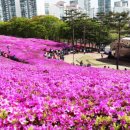 군포문화원 이미지