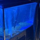 남산슈퍼 | [한남동 핫플레이스] 강민경 맛집, 남산광어 평일 워크인 찐 후기