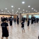 경희대 성용태권도 이미지