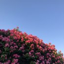 미니스톱 한강양화2점 이미지