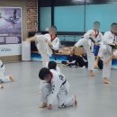 해광경희대태권도 이미지