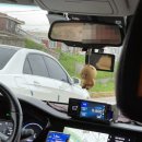 [대전 혼자 여행] 6개월동안 대전 3번 방문한 여성의 1박2일 대전 여행 어떤데? 2일차 (대전에서 비오는...