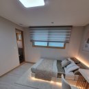 델리지아 이미지