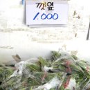 황금장터 - 남구 중앙로 255 | 황금장터