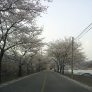 백운산가든 이미지