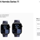 11500-7-42-01 | 애플워치 에르메스 시리즈 11 구매 후기 01 - 생각보다 구매 후기가 없어서 쓰는 자세한 후기