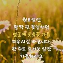 푸른이미지주 이미지