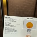 스테이해모루 | 제주 서귀포 가성비 호텔 파크선샤인제주 슈페리어 더블