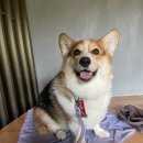 위드어스 와이너리 | 꼼빠뇽 위드어스 와이너리 멍와인