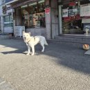동양당필방