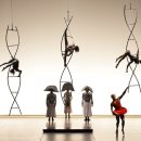 라베리타 이미지