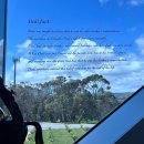 조형물D | [호주여행 6일차] 포트애들레이드 팬케이크 &amp; 다렌버그 d’Arenberg 큐브 &amp; 와이너리 숙박 후기