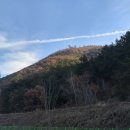 김해생림오토캠핑장 이미지