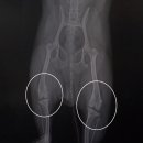 연이 메디칼 이미지