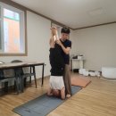 웰리스 | 마산요가 지도자의 무주 명상수련｜도나웰리스명상원 프라나 힐러 후기
