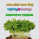 이디야울산남구