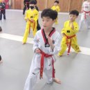 호매실숲태권도장 이미지