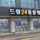 페티앙동물병원 티스토리