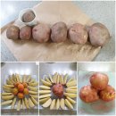 서홍농장 이미지