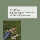 수달네생고기 | [공지] 기어코 여름이야 난 유월이 좋더라