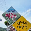 박경리메밀향 이미지