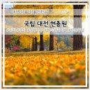 현충원로 | 대전가을단풍명소 대전 현충원 단풍진행율 방문후기 총정리