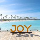 아일랜드코쿤 이미지