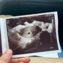 라하(RAHA) | [hello,raha] 우리를 찾아온 너를 기다리며