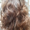 데이지엘헤어 범계점 | 평촌미용실 데이지엘헤어 범계점 가현쌤 클리닉 대만족 후기