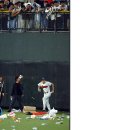 한국 야구의 성지, 마산 이미지
