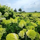 블랜드미(BLENDMI) 이미지