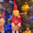 구룰루(Gululu) 이미지