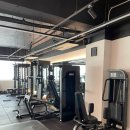 솔리드짐 PT 이미지