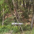 석곡311카페