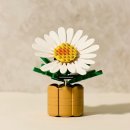 엠트리몰 이미지