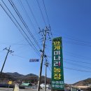 안계농장 | 안계미나리농장 미나리 파티