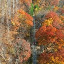 자작나무쉼터 이미지