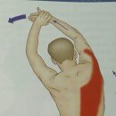 센스짐24 효성점 이미지