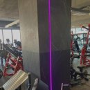 모조 피트니스 이미지