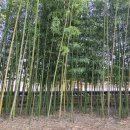 죽서루 화장실 이미지