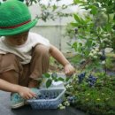 주신농장 이미지