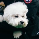 스토리 멍 이미지