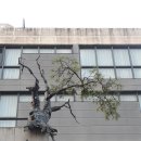 수원대학교 일반대학원 이미지