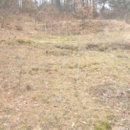 서구-02-24 이미지